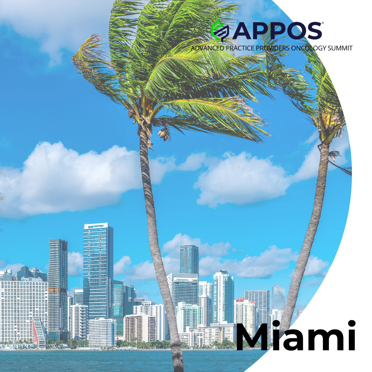 APPOS Miami Flyer